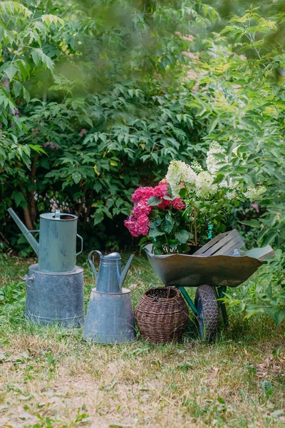 Herramientas Para Cuidar Parque Jardín Para Plantar Hortensias Carretilla Cubo —  Fotos de Stock