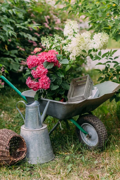 Park ve bahçeyle ilgilenmek için araçlar, ve ortanca dikmek için - el arabası, kova, su kovası, tırmık, sepet, saksı