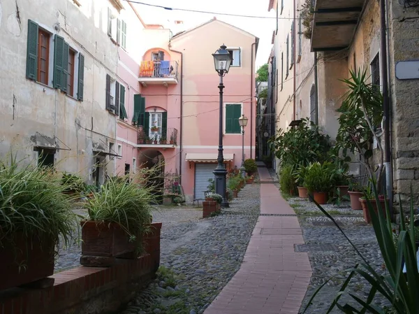 Fiori Colorati Piante Nei Giardini Tra Gli Edifici Nel Centro — Foto Stock