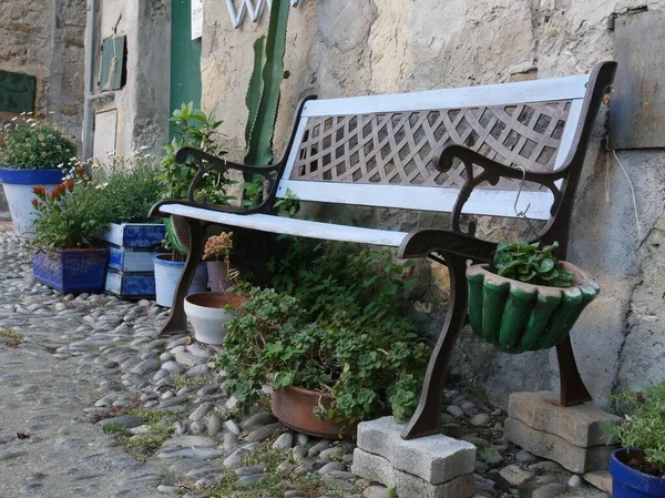 bench with hanging plants in a garden between the buildings in the historic center of ancient village of Cervo