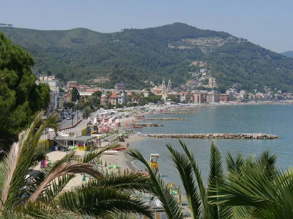 Panorama Palm Trees Beach Laigueglia — Stock Photo, Image