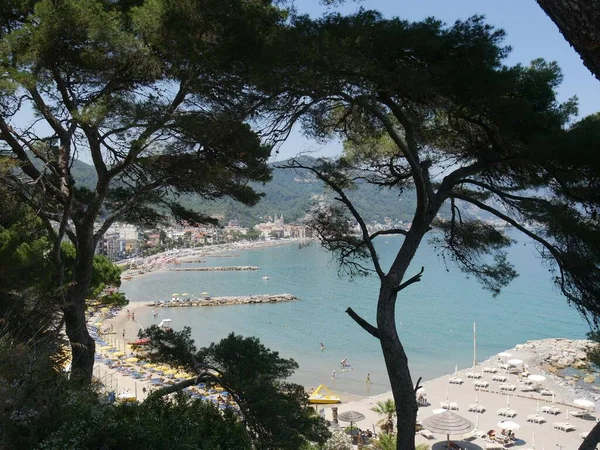 Panorama Entre Pinheiros Praia Laigueglia — Fotografia de Stock