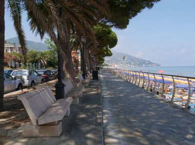 Alassio 'da palmiye ağaçları ile gezinti