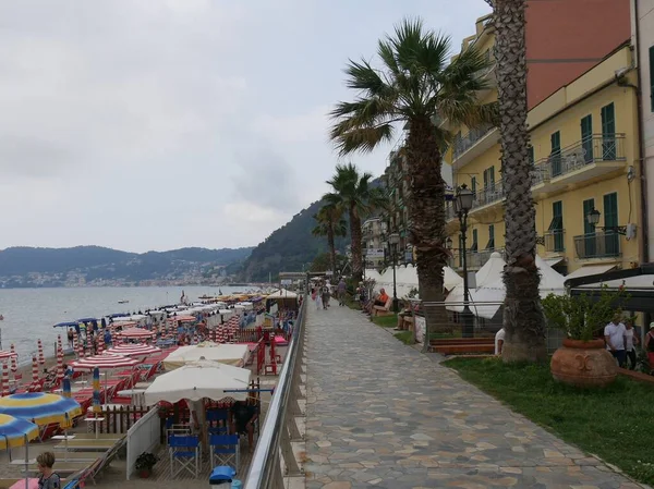 Promenade Palm Trees Alassio — Stock Photo, Image