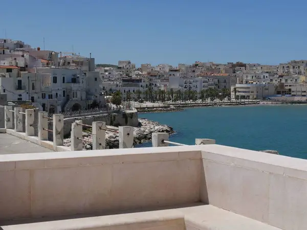 Vieste Panorama Van Promenade Met Groene Tuinen Palmen Met Uitzicht — Stockfoto