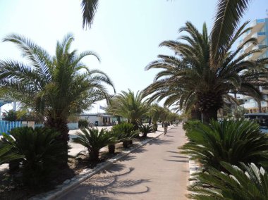 San Benedetto del Tronto bisiklet yolu ve palmiye ağaçları ve temalı bahçeler arasında yayalar arasında geziniyor.