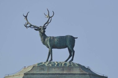 Nichelino, Stupinigi Av Locası 'nın çatısındaki geyik pirinçten heykelinin yakın çekimi.