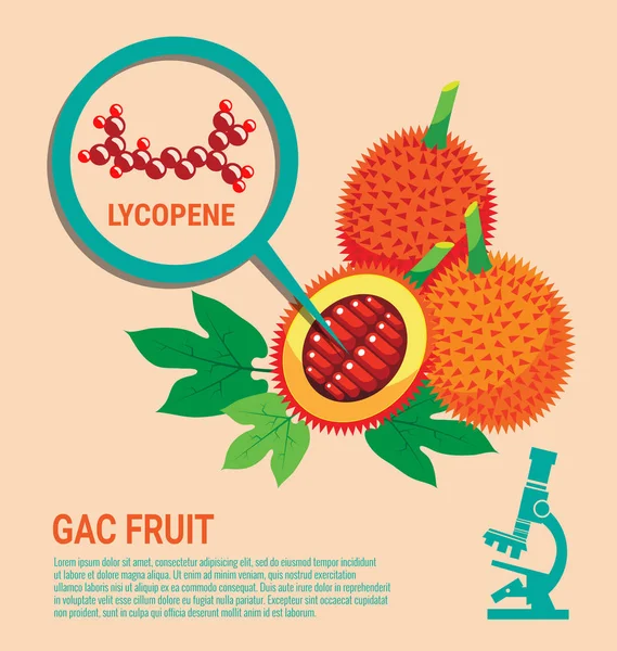 Gac 水果健康好处的番茄红素 — 图库矢量图片