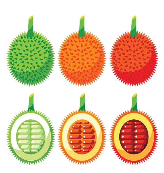 Ensemble d'avantages pour la santé des fruits du Gac — Image vectorielle