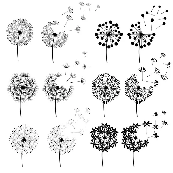 Abstract Dandelions for spring season — Stock Vector
