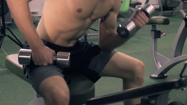 Muscular Man Working Out With Dumbbells — Stock Video