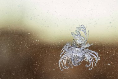 Dondurulmuş pencere düzeni