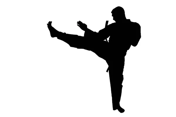 Silhouette sportiva, Karate Kick — Foto Stock