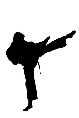 Karate tekme, spor siluet