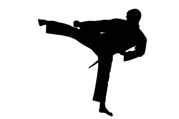 Sportsilhouette, Karate-Kick. — Stockfoto