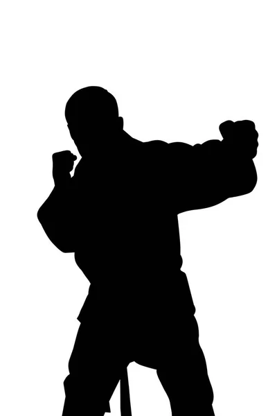 Karate harcművészeti ember sziluettje. — Stock Fotó