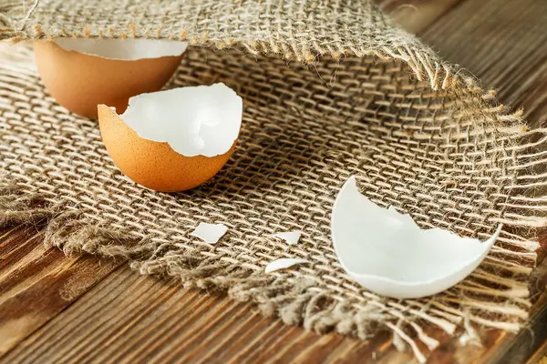 Egg Shells on wooden  Background