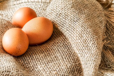 Çuval bezi üzerinde taze kahverengi kafes ücretsiz yumurta.