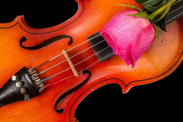 Violino e rosa rossa su sfondo nero . — Foto Stock