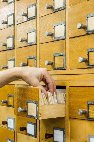 Librarian open library cards index — Stock Photo, Image