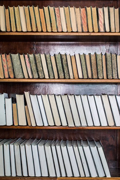 Libri su scaffali in legno in biblioteca — Foto Stock