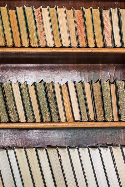 Książki na drewnianych półkach w bibliotece — Zdjęcie stockowe