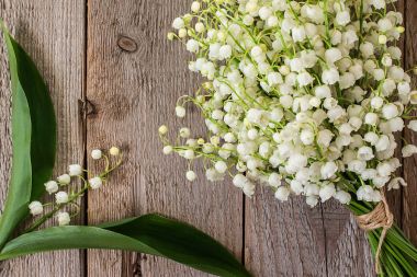 Ahşap masa üzerinde cam vazoda Vadisi'nin Lilly.