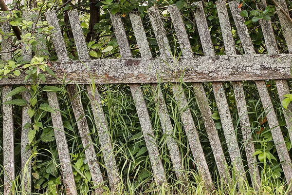 Background textural grey rustic wooden fence — Stock Photo, Image