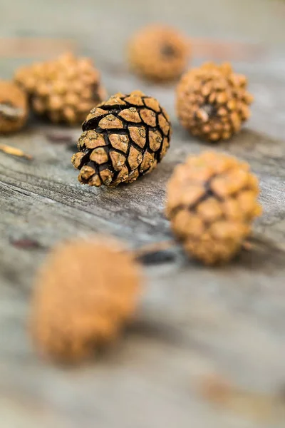 Een gerichte dennenappel rustend op een houten tafel — Stockfoto