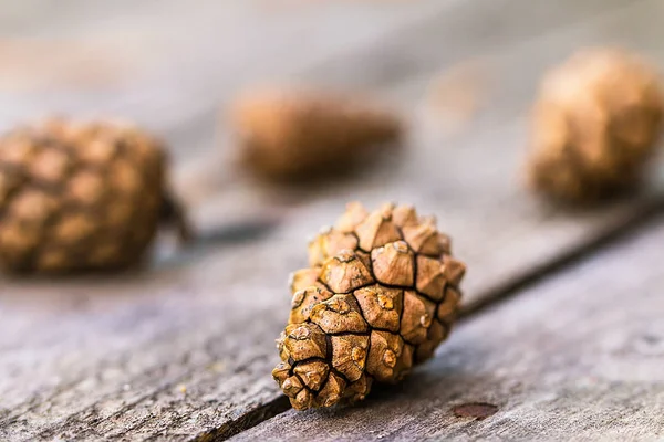 Een gerichte dennenappel rustend op een houten tafel — Stockfoto