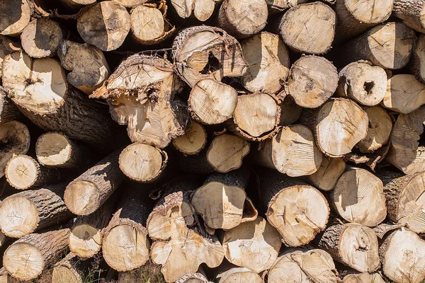 Pile of old firewood for background — Stock Photo, Image