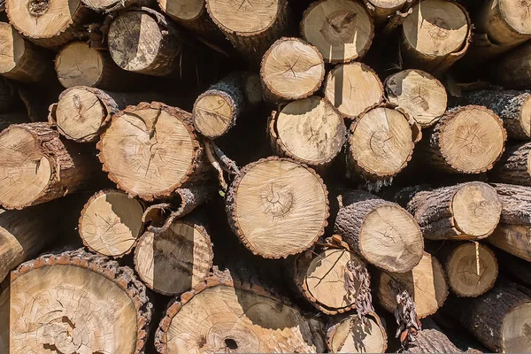 Stapel van oude brandhout voor achtergrond — Stockfoto