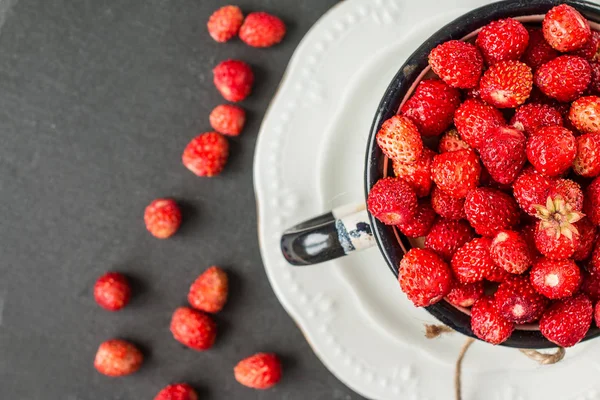 Frische Walderdbeeren. natürliche, gesunde biologische Lebensmittel. — Stockfoto