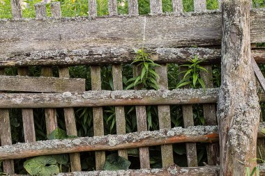   arka plan dokusal gri rustik ahşap çit