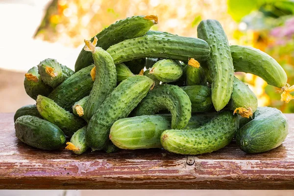 Pepino fresco en la mesa de madera — Foto de Stock