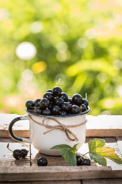 Bir kupa taze organik Siyah frenk üzümü