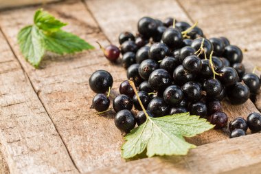 Ahşap bir masada siyah frenk üzümü