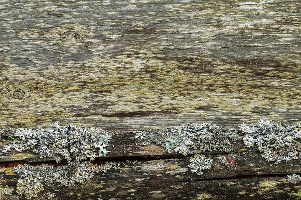 The texture of old wooden planks. — Stock Photo, Image
