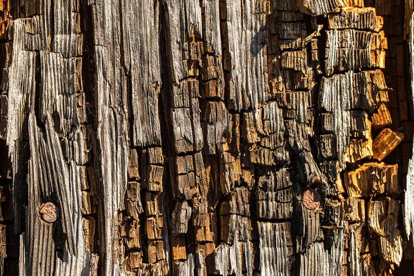 Alte hölzerne Textur Hintergrund, Nahaufnahme. — Stockfoto