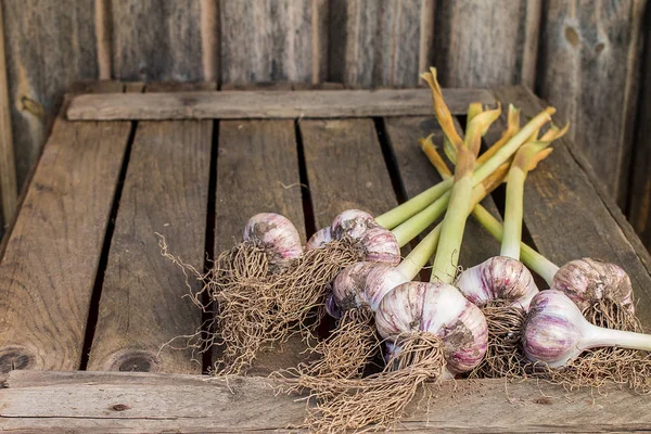 Rustik masada sarımsak karanfil