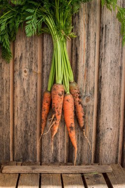 taze havuç grup eski ahşap zemin üzerinde