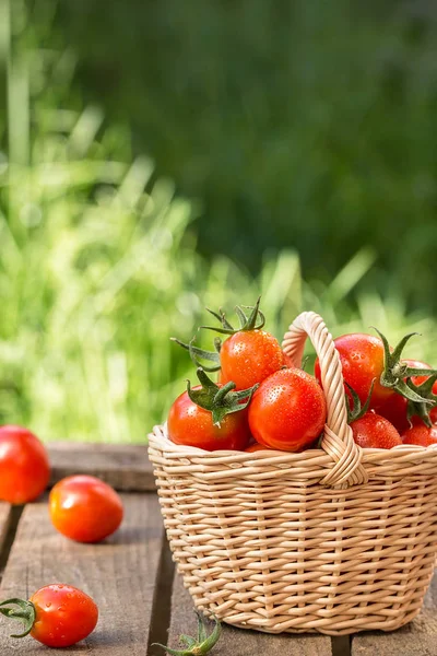 Tomates rojos en canasta de mimbre sobre mesa de madera . — Foto de Stock