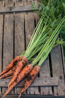 taze havuç grup rustik masada