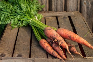 taze havuç grup rustik masada.