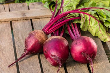 Rustik masa başında ile genç, taze pancar