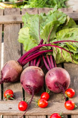 ahşap arka plan üzerinde organik sebze