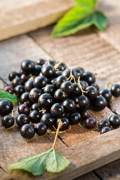 Ahşap bir masada siyah frenk üzümü