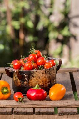 ahşap arka plan üzerinde organik sebze