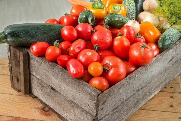 Verduras maduras en una caja de madera — Foto de Stock