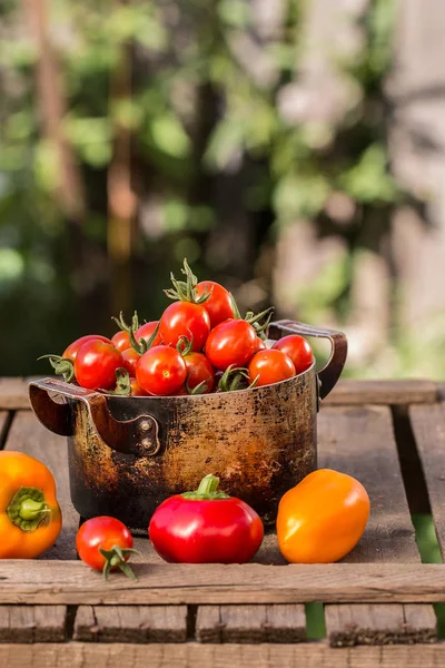 ahşap arka plan üzerinde organik sebze